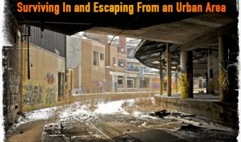 Surviving Urban Area