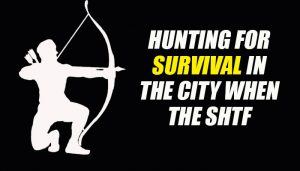 Urban Survival Hunting